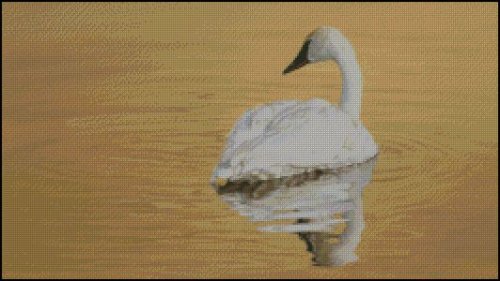 (image for) Golden Pond